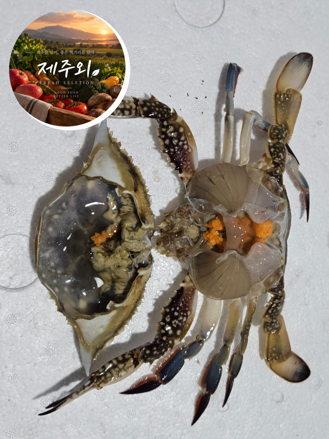 국내산 서해 활 숫꽃게 제철 생물 175g, 3kg, 1개 - 상품 이미지