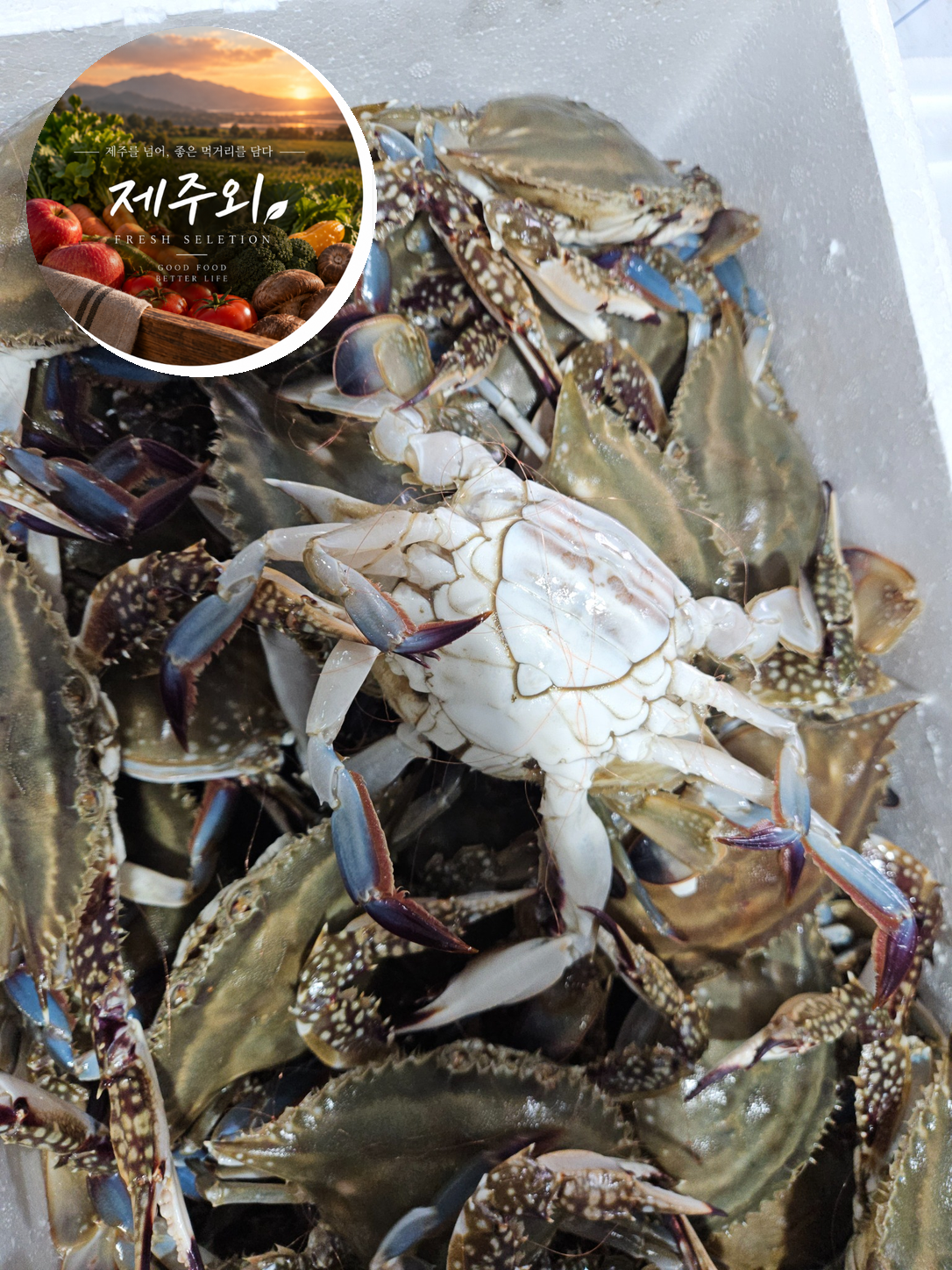 국내산 서해 활 숫꽃게 제철 생물 175g, 1kg, 1개 - 상품 이미지