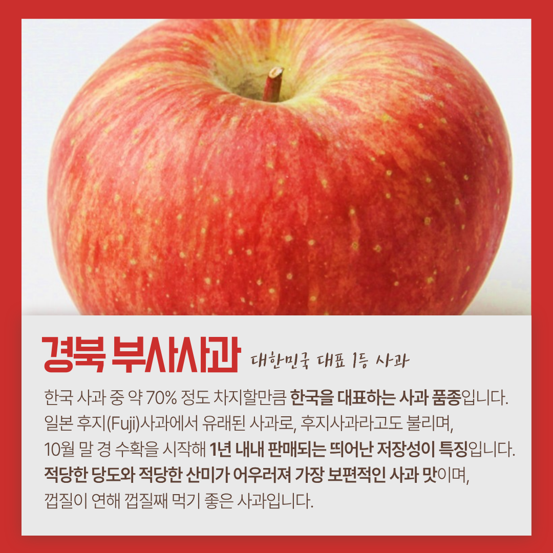 상품 이미지 6