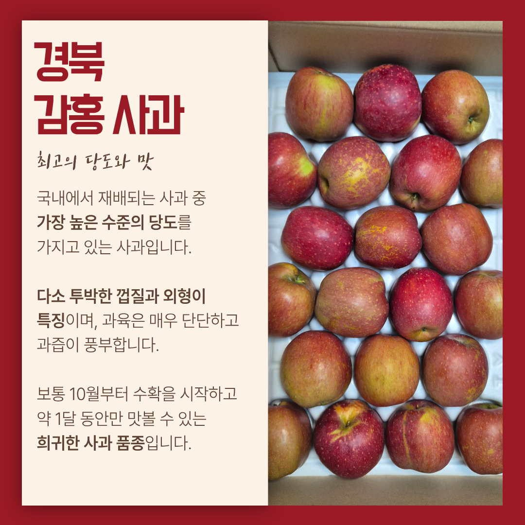 상품 이미지 4