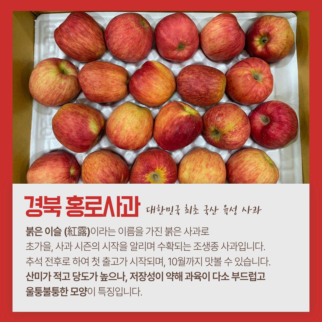 상품 이미지 3