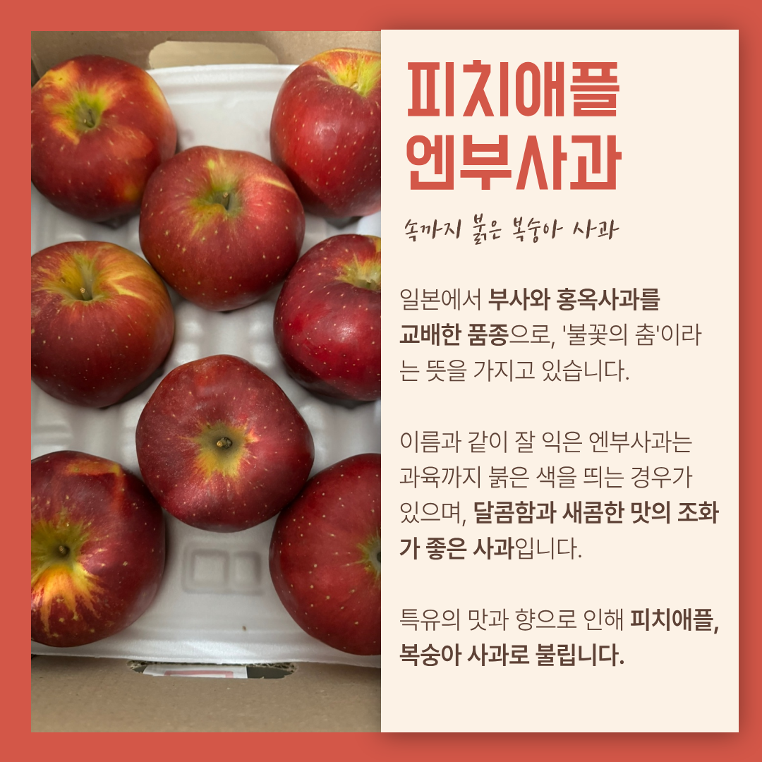 상품 이미지 5