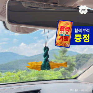 [신제품] 미니 컬렉션 굿럭해브펀 차량용 액막이 명태 신차 이사 집들이 ... 솔직 후기 | 실제 배치 사진 포함 - 상품 이미지 1