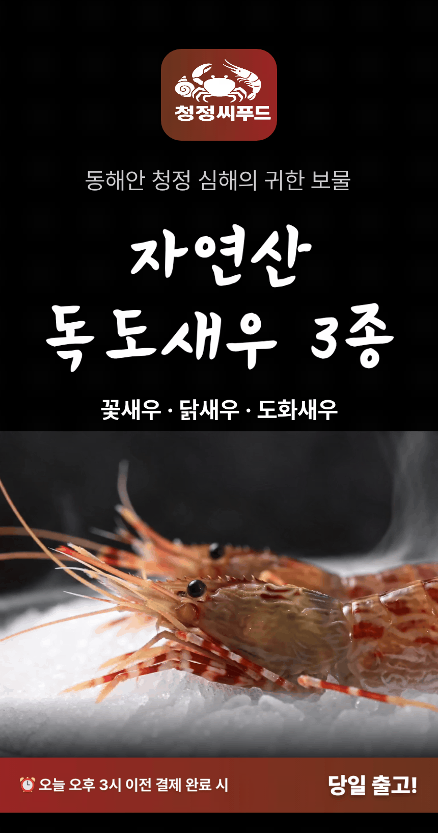 청정씨푸드 독도 활 꽃새우 닭새우 도화새우 생물 급냉 동해안 500g 판매처 상세 정보 이미지 3