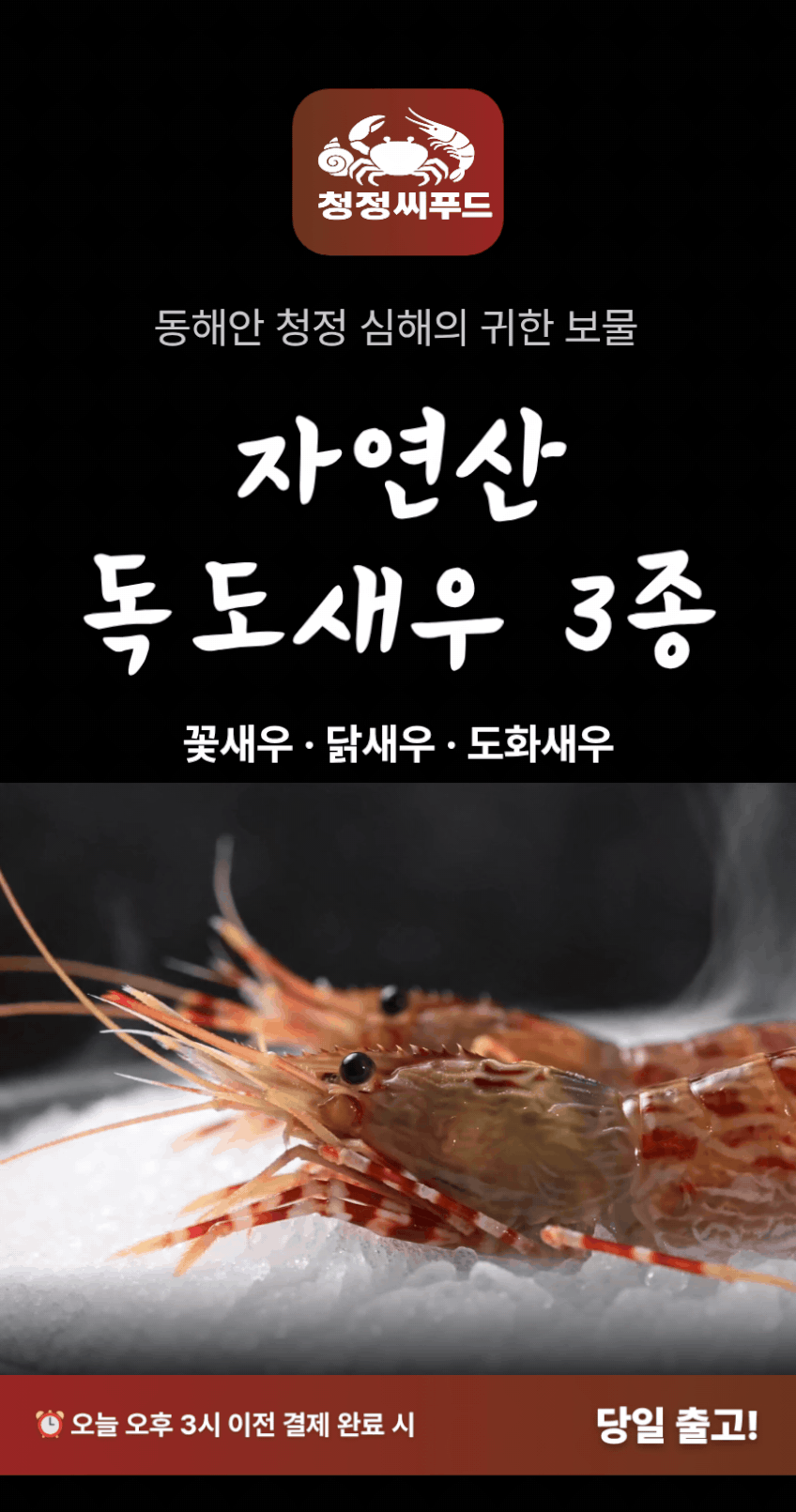 청정씨푸드 독도 활 꽃새우 닭새우 도화새우 생물 급냉 동해안 500g 판매처 상세 정보 이미지 3