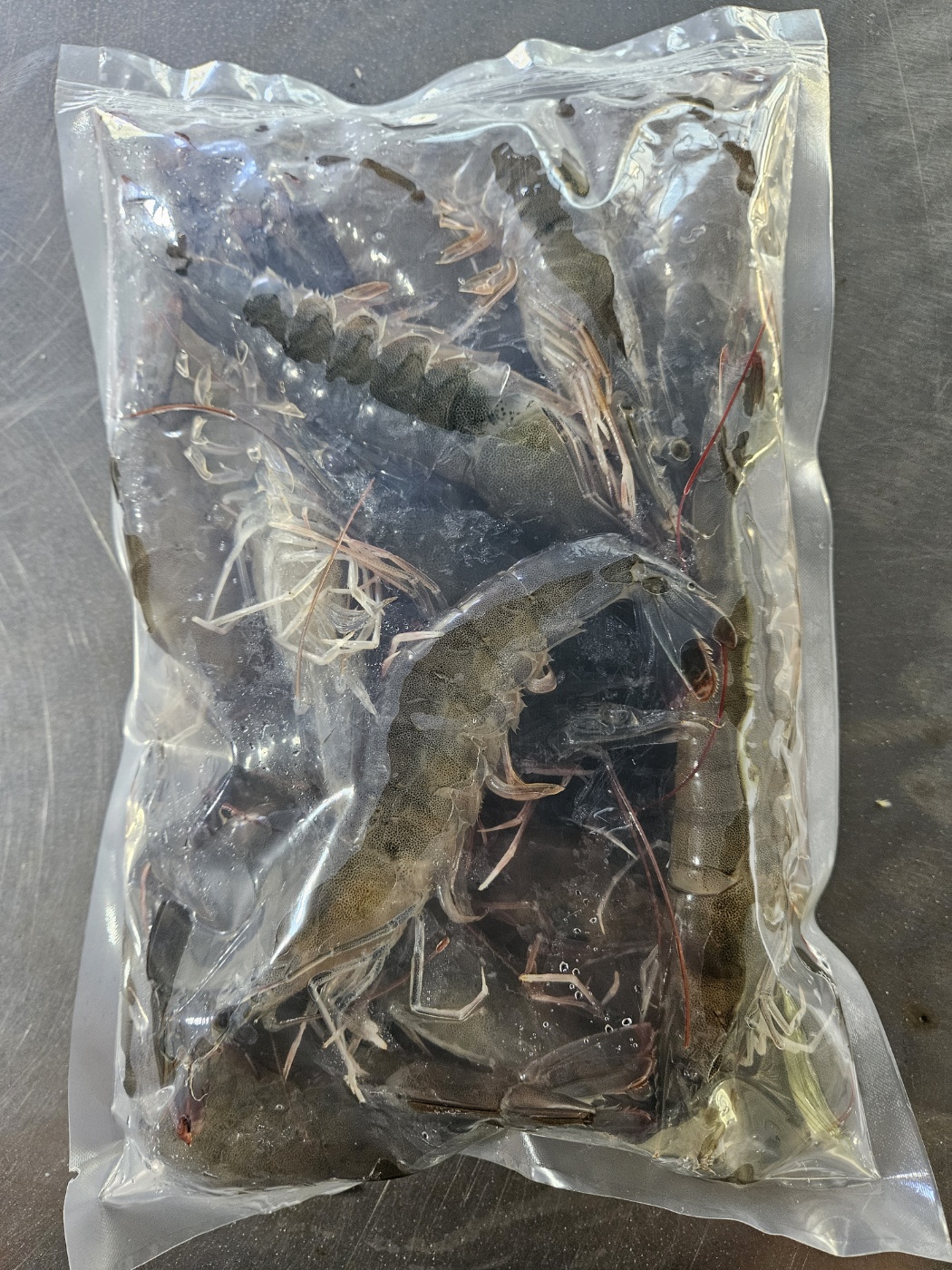 국내산 판매급증 노지 활 흰다리새우 1kg - 상세 이미지 3