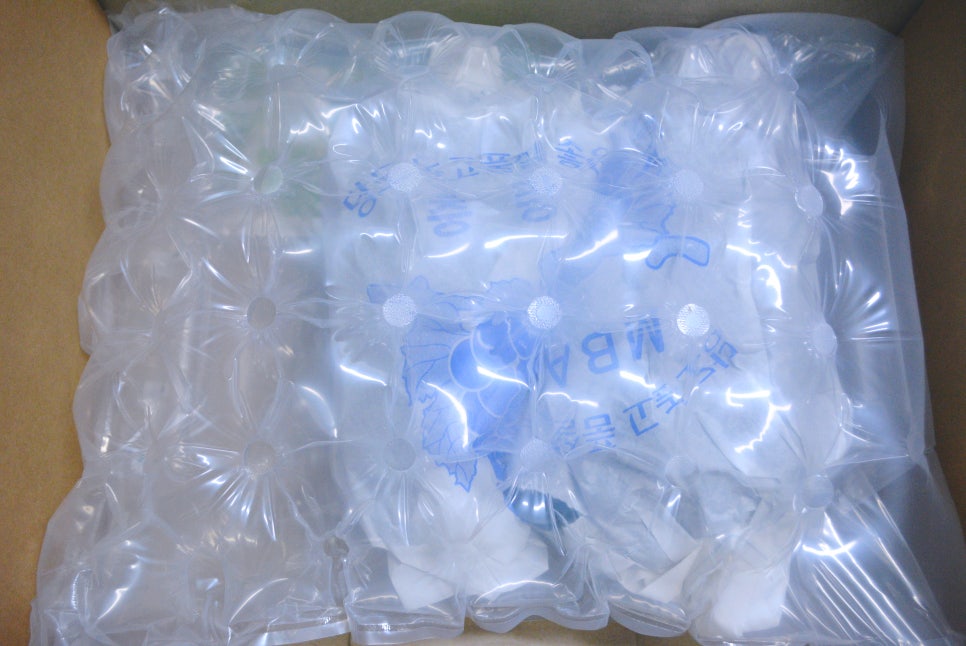 국내산 GAP인증 씨없는 블랙포도 2Kg - 상세 이미지 4