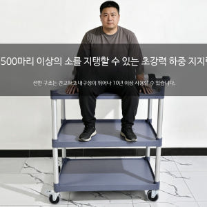 이동식 서빙카트 웨건 주방 식당 업소용 운반 수납 브레이크바퀴 대형 그레... 솔직 후기 | 실제 배치 사진 포함 - 상품 이미지 3