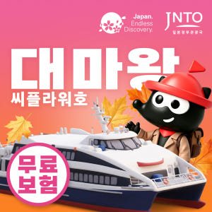 대마도 배편 씨플라워호 당일치기 구매즉시확정 부산 승선권 예약 히타카츠 