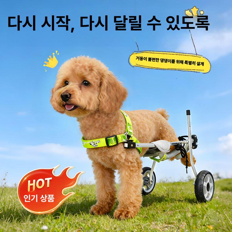 강아지 휠체어 2륜 소형 건강관리 4륜 반려묘 애견보조기 돌봄 재활 - 상세 이미지 5