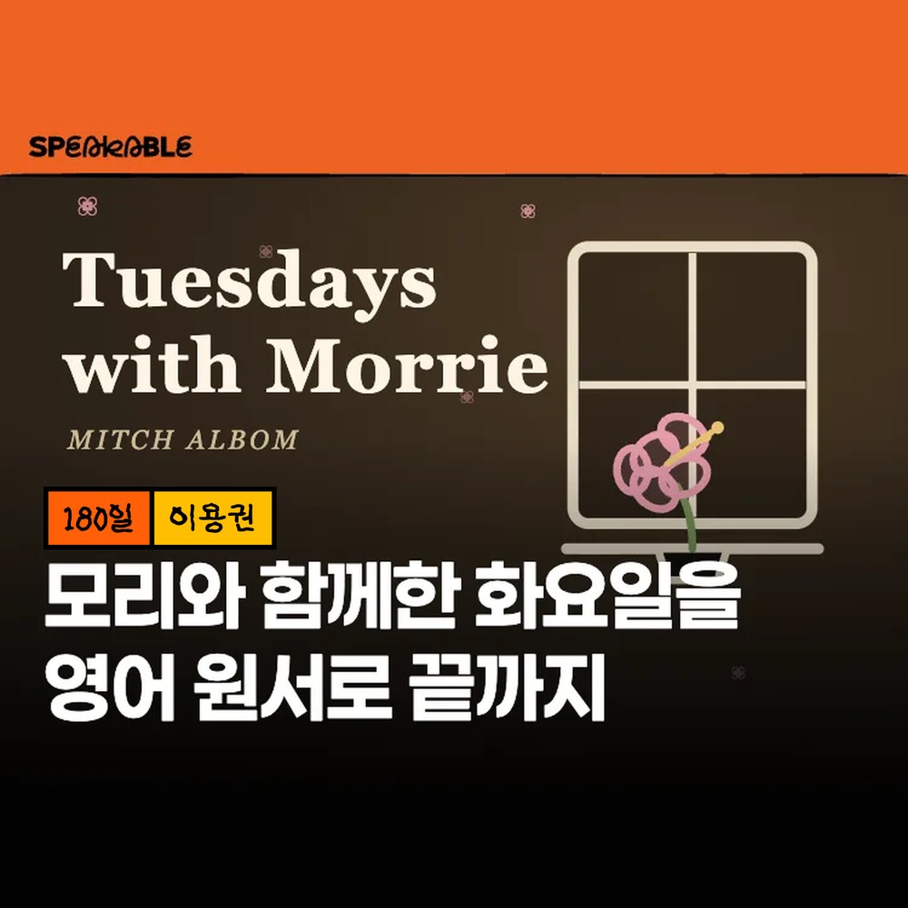 스피커블 모리와 함께한 화요일 영어 원서 180일 이용권 원서 읽기 입문 - 상품 이미지