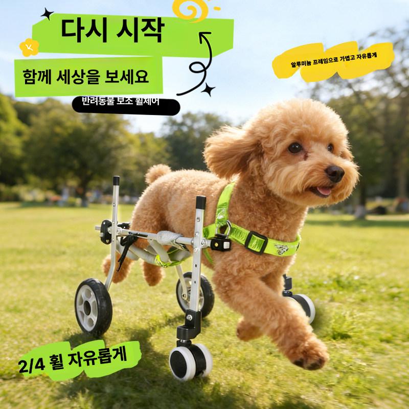 강아지 휠체어 2륜 소형 건강관리 4륜 반려묘 애견보조기 돌봄 재활 - 상세 이미지 2