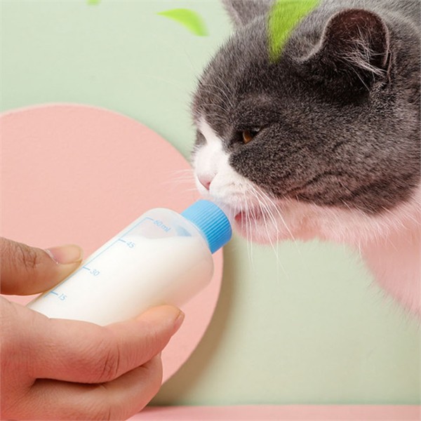 고양이 애완 동물 젖병 강아지 반려동물 젖병 동물용 우유병 새끼 - 상품 이미지