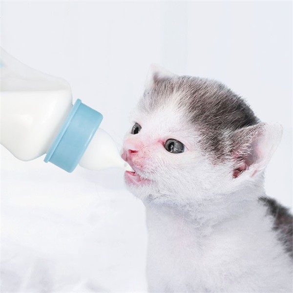 동물용 반려동물 젖병 고양이 강아지 젖병 우유병 애견 분유 150ml - 상품 이미지