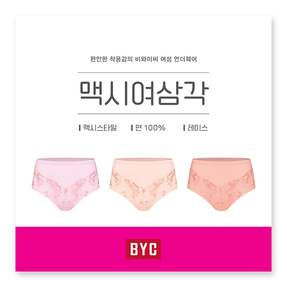 비와이씨 BYC 플라워 자수 레이스 맥시 여성 삼각팬티 3매입 WCR5512 - 메인 이미지