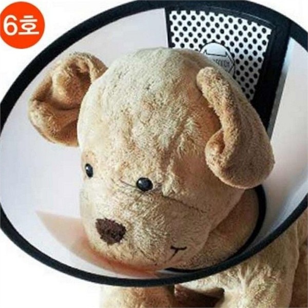 투명 강아지 넥 카라 6호 수술 반려견 넥 카라 보호대 - 상품 이미지