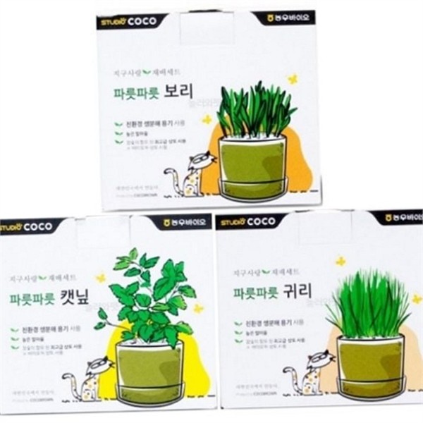 키우기 고양이 재배 귀리 캣 그라스 재배 씨앗 화분 - 상품 이미지