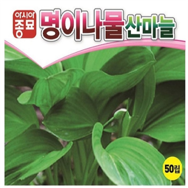 산야초 명이나물 씨앗 산나물 산마늘 씨앗 재배 텃밭 식용 - 상품 이미지