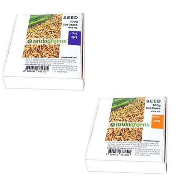 고양이용 고양이 풀 키우기 100g 새싹 고양이 풀 씨앗 재배 - 상품 이미지