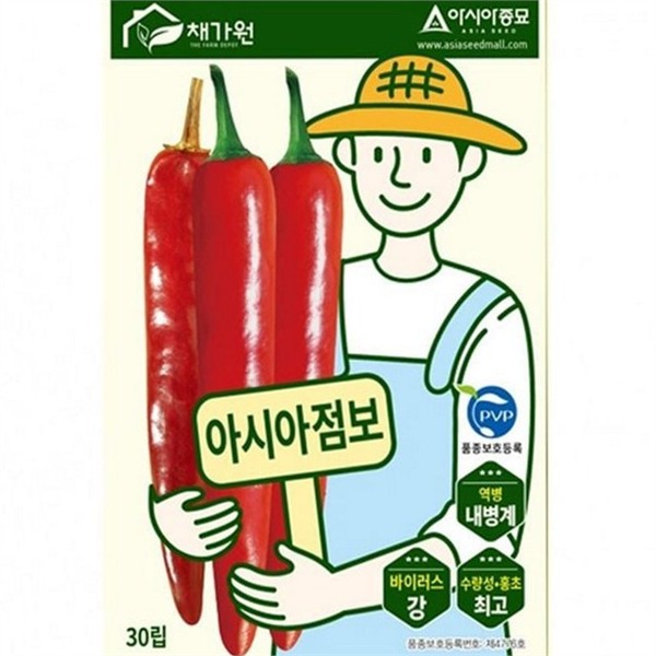내병계 대형 고추 씨앗 30립 대과종 고추 씨앗 텃밭 농업용 - 상품 이미지