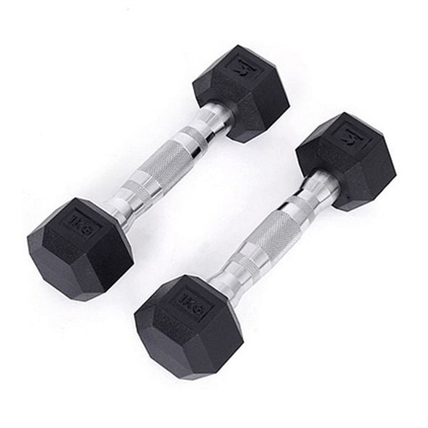 가정용 홈트 트레이닝 덤벨 1kg 2개 세트 피트니스 근력 운동 아령 - 상품 이미지