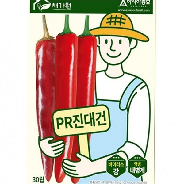 청양고추 씨앗 30립 건고추 고추 종자 농업용 텃밭 품종 역병 - 메인 이미지