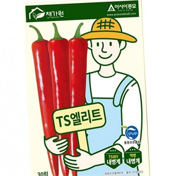 청양고추 고추 씨앗 30립 원예용 고추 종자 농사용 텃밭 - 상품 이미지