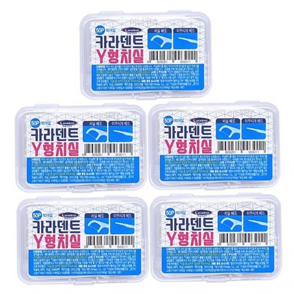 휴대용 y형 치실 50개입 x 5개세트 데일리 치간 치실 이쑤시개 치실픽 - 상품 이미지