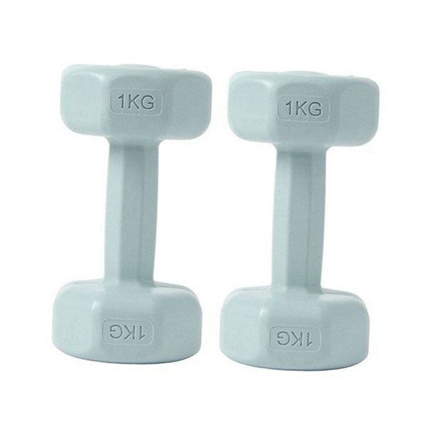 가정용 홈트 트레이닝 아령 1kg 피트니스 여성 아령 덤벨 1kg - 상품 이미지