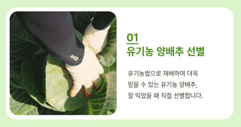 국내산 유기농 양배추즙 상품 설명 14