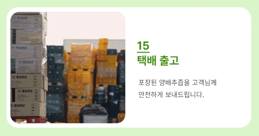 국내산 유기농 양배추즙 상품 설명 28