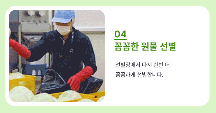 국내산 유기농 양배추즙 상품 설명 17