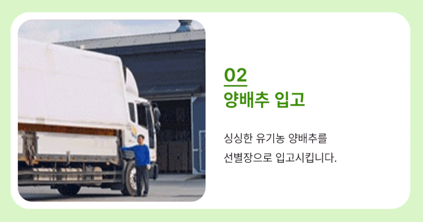 국내산 유기농 양배추즙 상품 설명 15