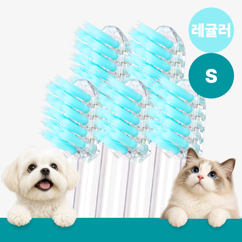 메이브러쉬 강아지 칫솔 애견 소형견 양치 펫칫솔 1분컷 저자극 레귤러 S, 5개 - 상품 이미지