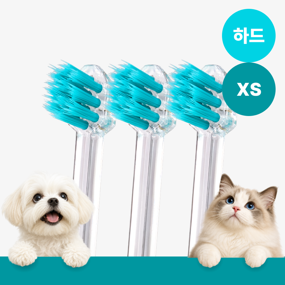 메이브러쉬 강아지 칫솔 애견 소형견 양치 펫칫솔 1분컷 저자극 하드 XS, 3개 - 상품 이미지