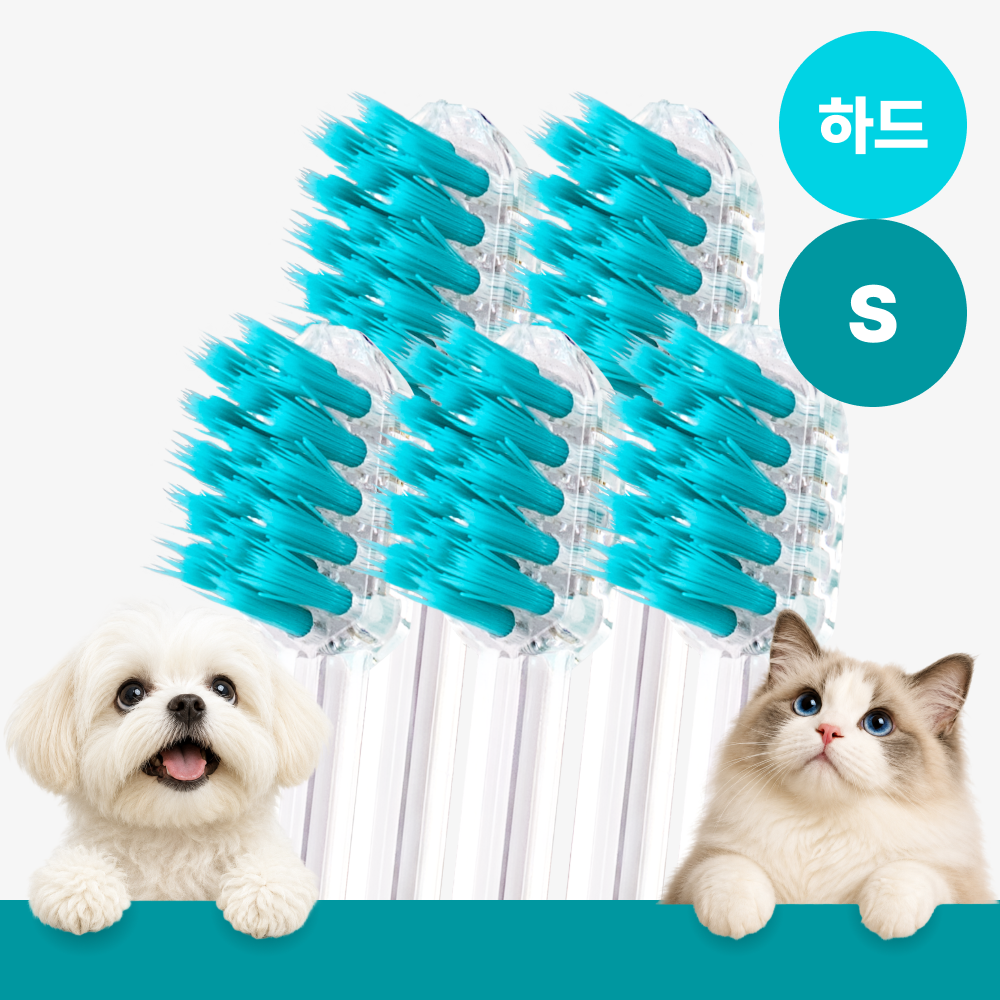 메이브러쉬 강아지 칫솔 애견 소형견 양치 펫칫솔 1분컷 저자극 하드 S, 5개 - 상품 이미지