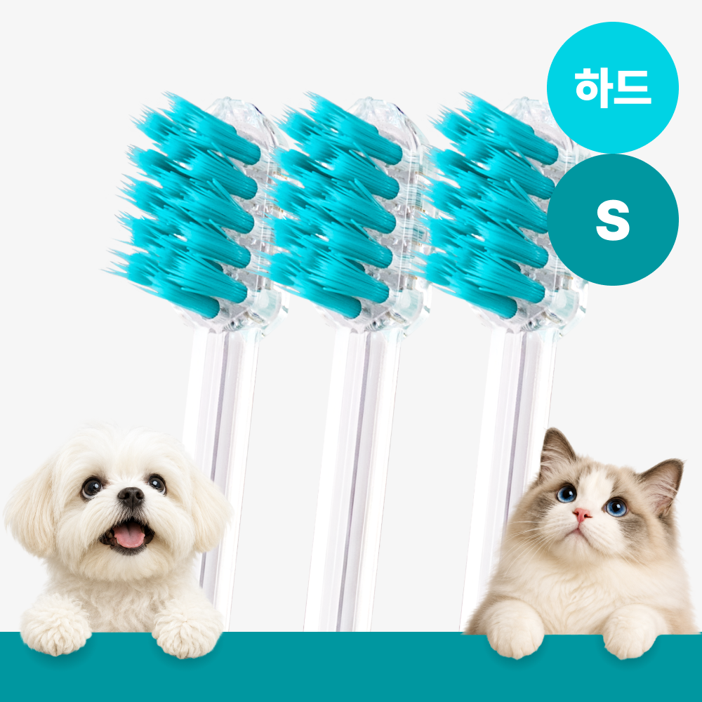 메이브러쉬 강아지 칫솔 애견 소형견 양치 펫칫솔 1분컷 저자극 하드 S, 3개 - 상품 이미지