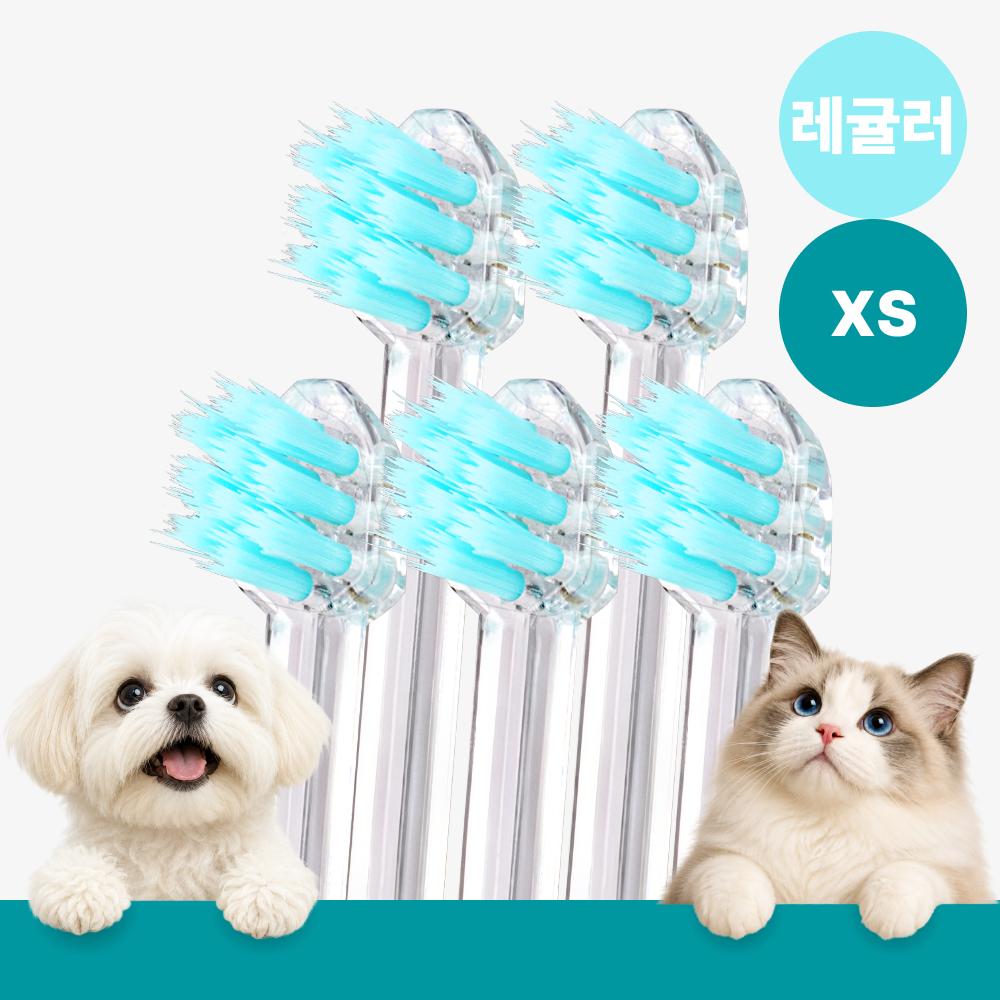 메이브러쉬 강아지 칫솔 애견 소형견 양치 펫칫솔 1분컷 저자극 레귤러 XS, 5개 - 상품 이미지