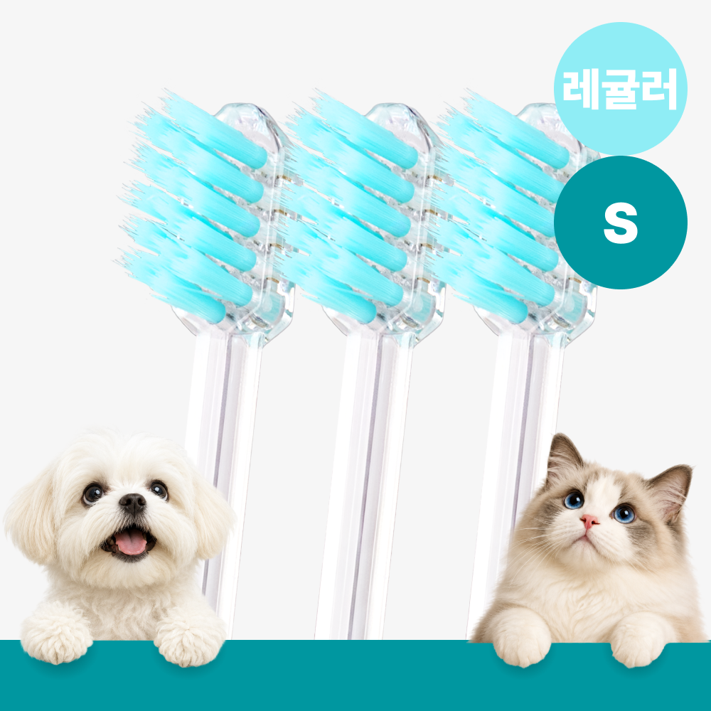 메이브러쉬 강아지 칫솔 애견 소형견 양치 펫칫솔 1분컷 저자극 레귤러 S, 3개 - 상품 이미지