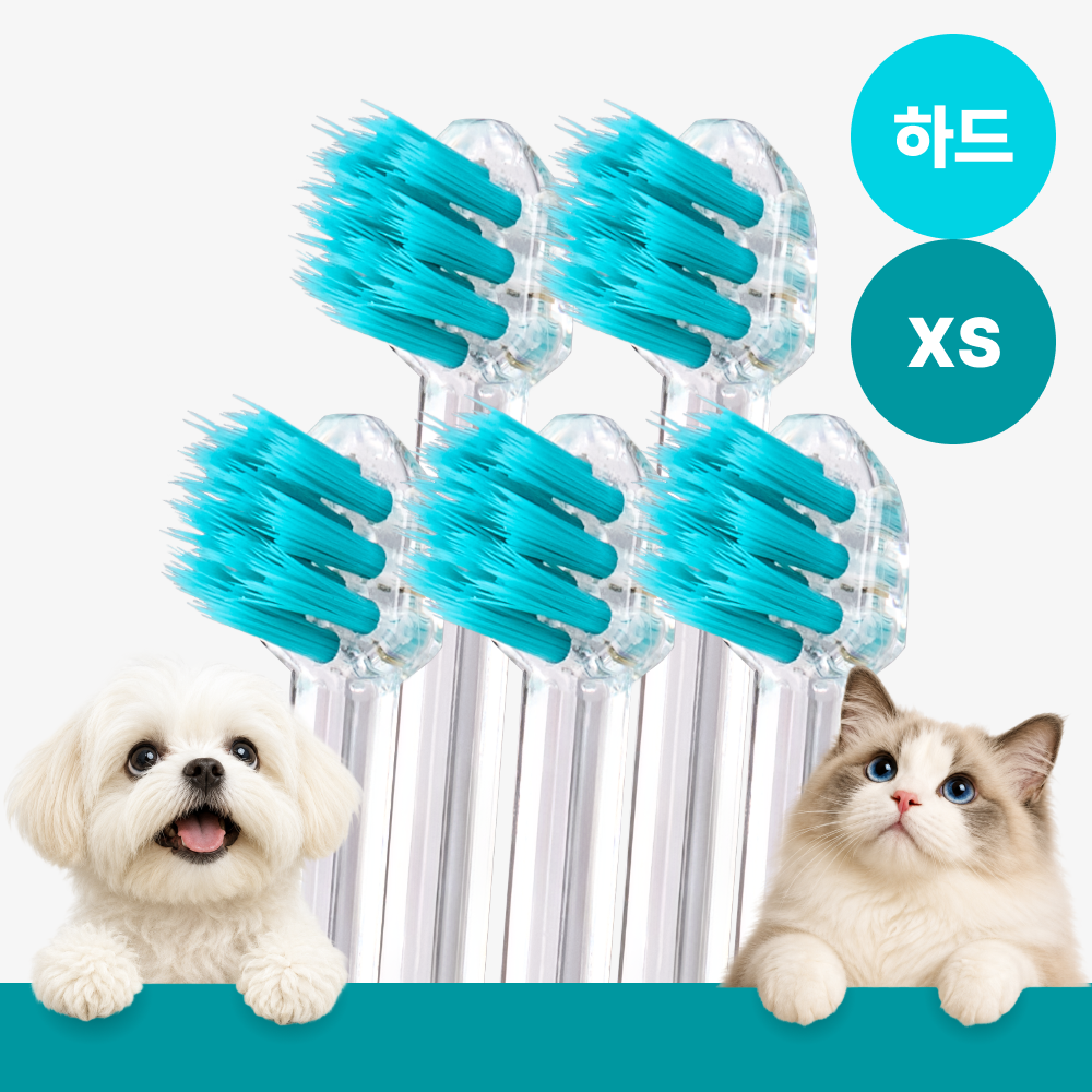 메이브러쉬 강아지 칫솔 애견 소형견 양치 펫칫솔 1분컷 저자극 하드 XS, 5개 - 상품 이미지