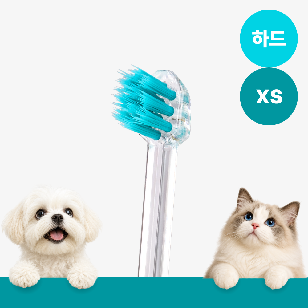 메이브러쉬 강아지 칫솔 애견 소형견 양치 펫칫솔 1분컷 저자극 하드 XS, 1개 - 상품 이미지