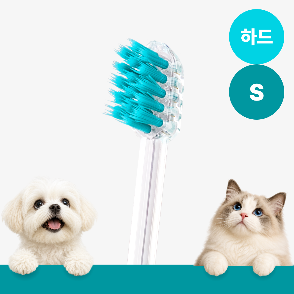 메이브러쉬 강아지 칫솔 애견 소형견 양치 펫칫솔 1분컷 저자극 하드 S, 1개 - 상품 이미지