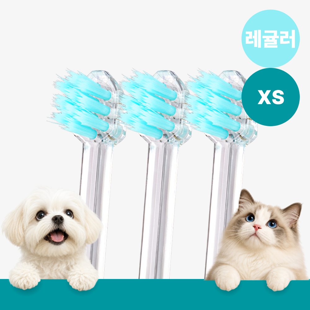 메이브러쉬 강아지 칫솔 애견 소형견 양치 펫칫솔 1분컷 저자극 레귤러 XS, 3개 - 상품 이미지