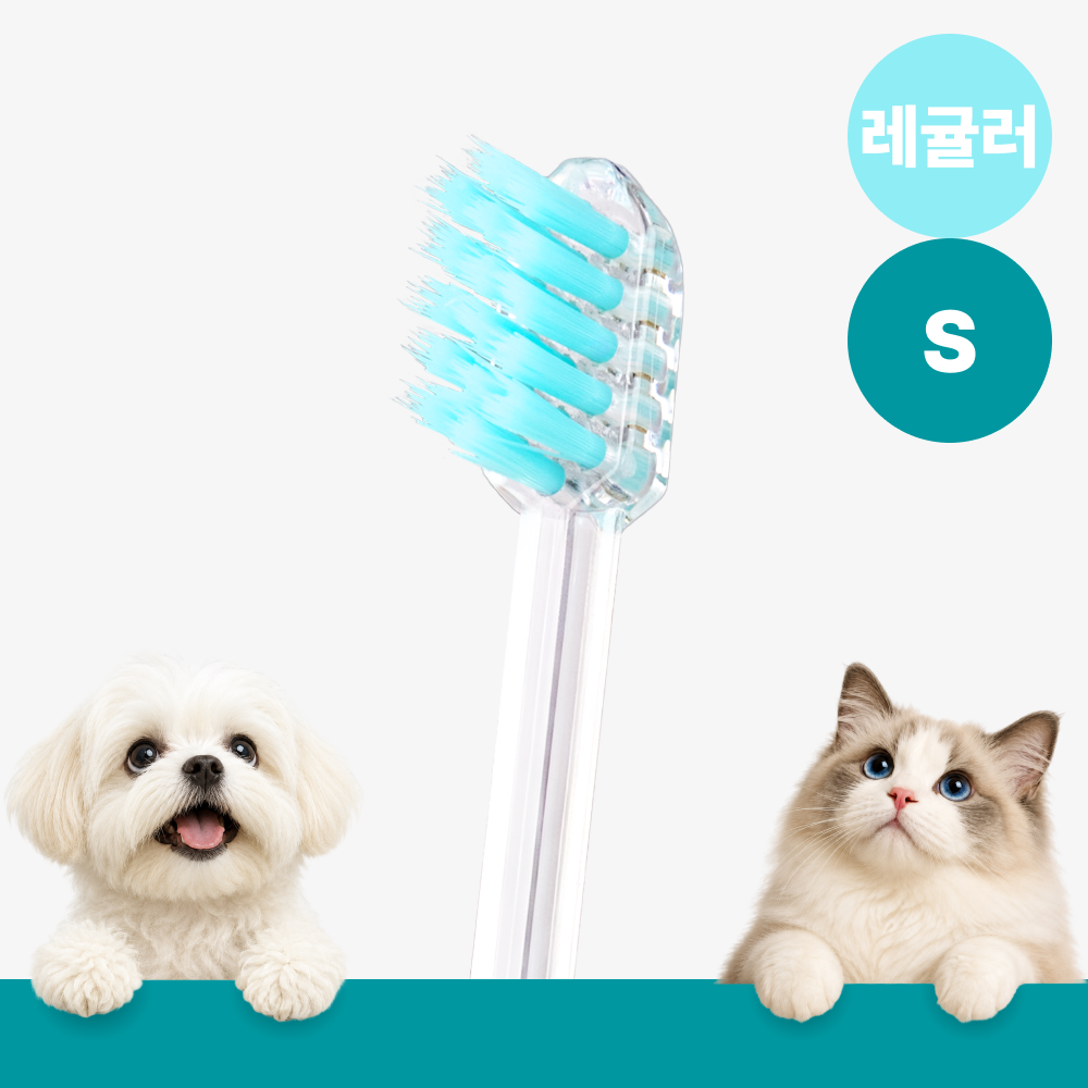 메이브러쉬 강아지 칫솔 애견 소형견 양치 펫칫솔 1분컷 저자극 레귤러 S, 1개 - 상품 이미지