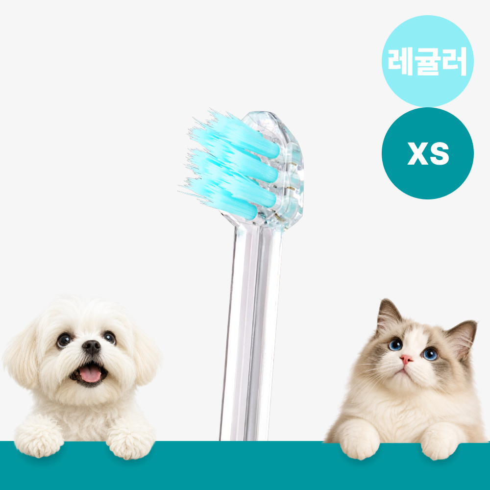 메이브러쉬 강아지 칫솔 애견 소형견 양치 펫칫솔 1분컷 저자극 레귤러 XS, 1개 - 상품 이미지