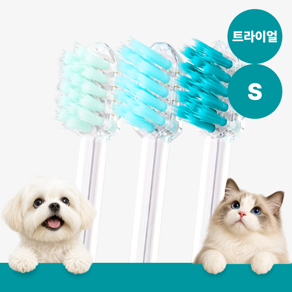 메이브러쉬 강아지 칫솔 애견 소형견 양치 펫칫솔 1분컷 저자극 트라이얼 S, 3개 - 상품 이미지