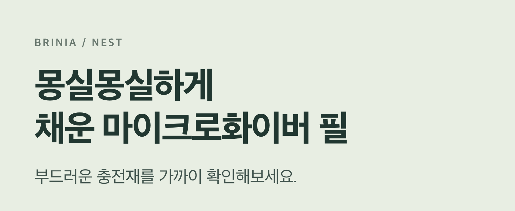 브리니아 네스트 cut21-header