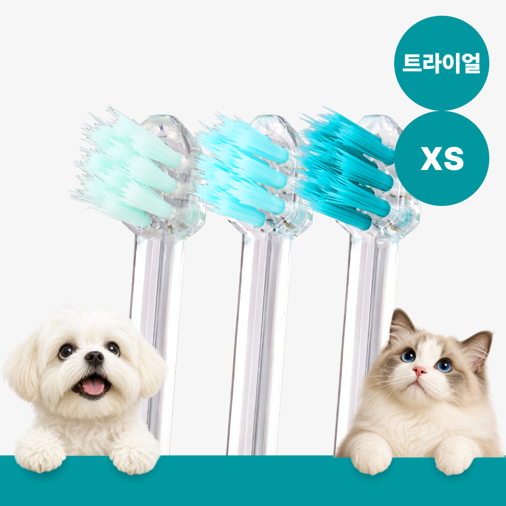메이브러쉬 강아지 칫솔 애견 소형견 양치 펫칫솔 1분컷 저자극 트라이얼 XS, 3개 - 상품 이미지