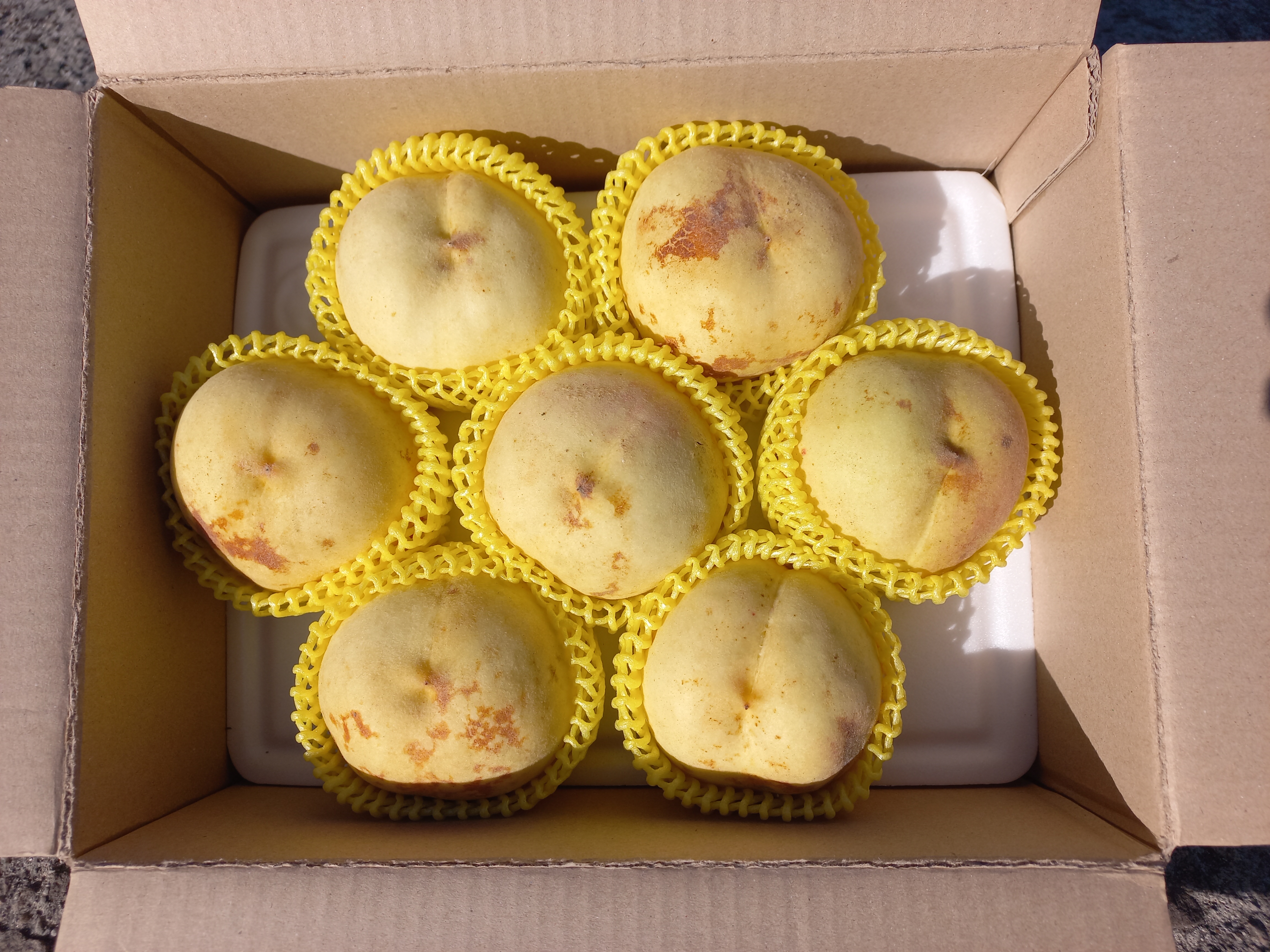 국내산 상위1% 눈꽃복숭아 (특) 중과, 2kg, 1개 이미지 6