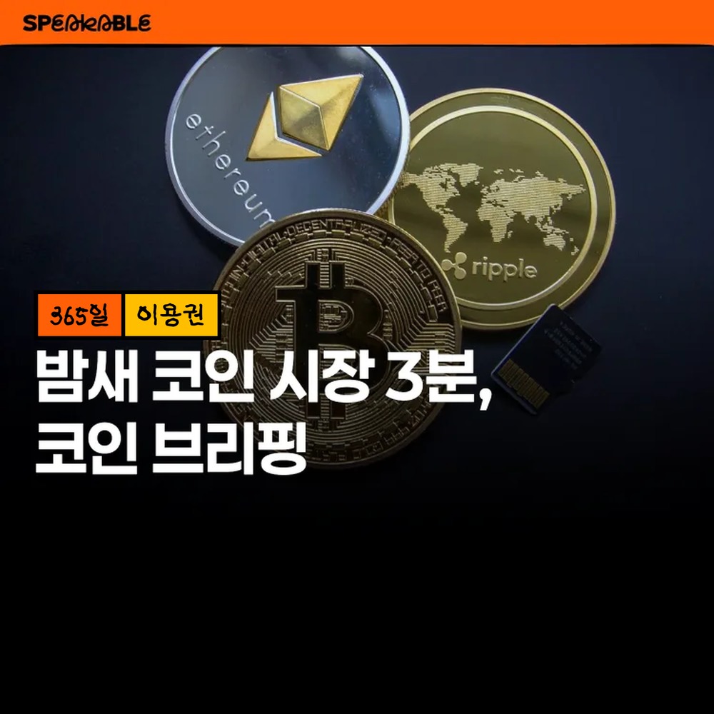 스피커블 코인 브리핑 365일 이용권 코인 시세 아침 브리핑 - 상품 이미지